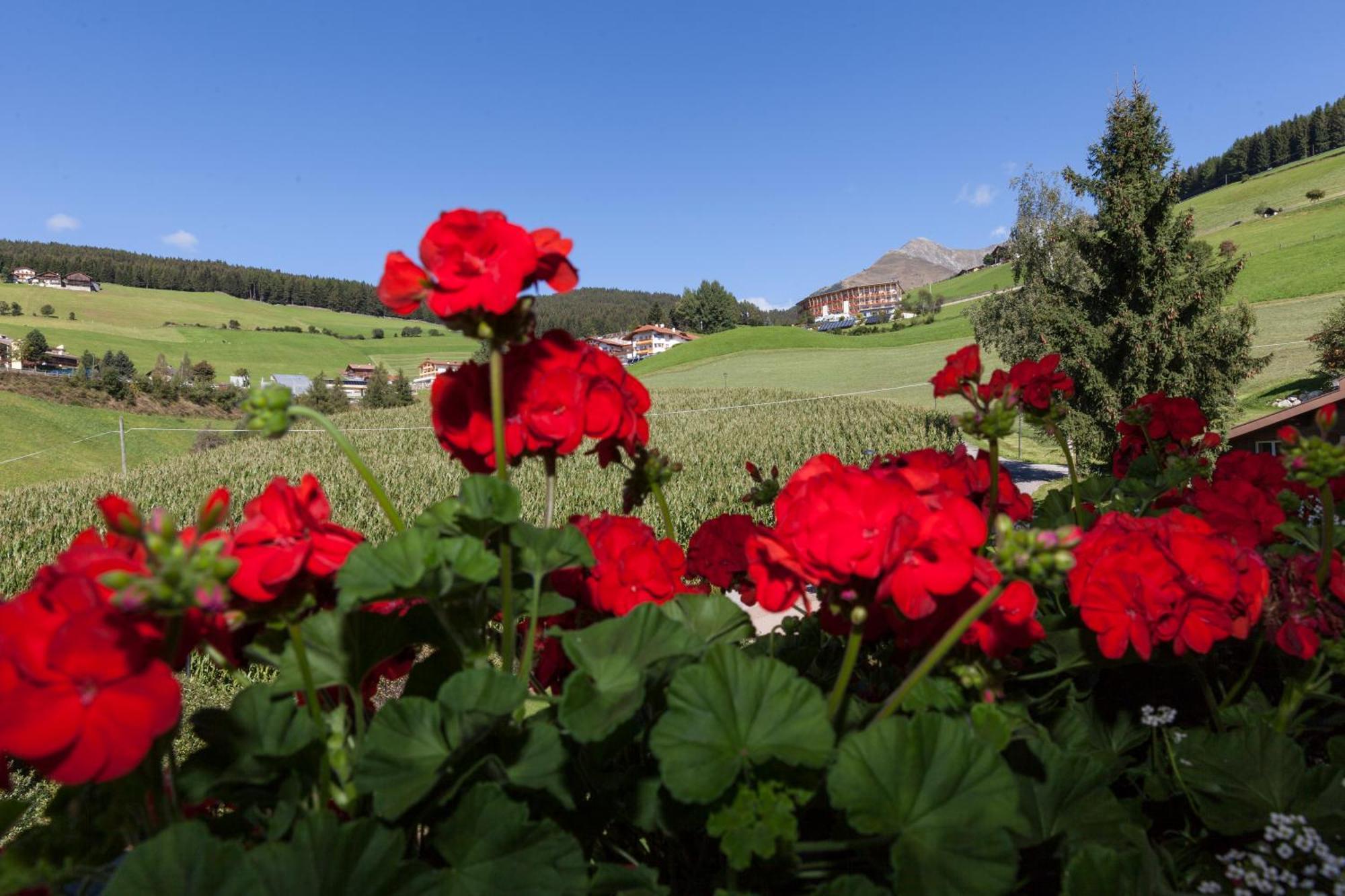 Hotel Bacherhof Маранца Екстер'єр фото